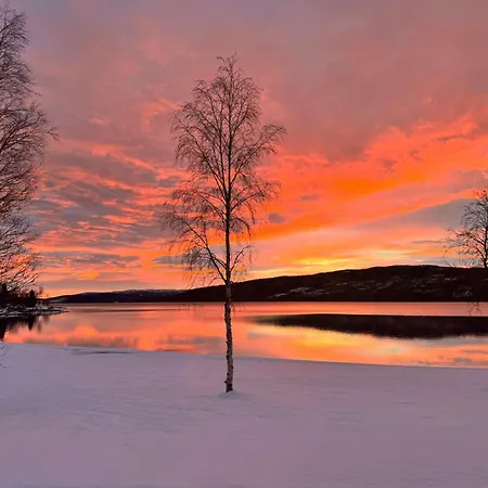 Modern By The In Kvelia * Holand