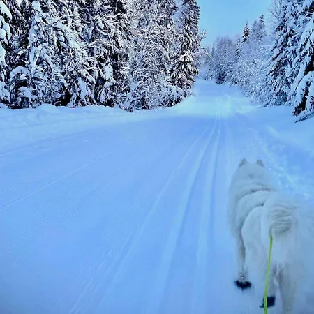 Modern By The In Kvelia Holand